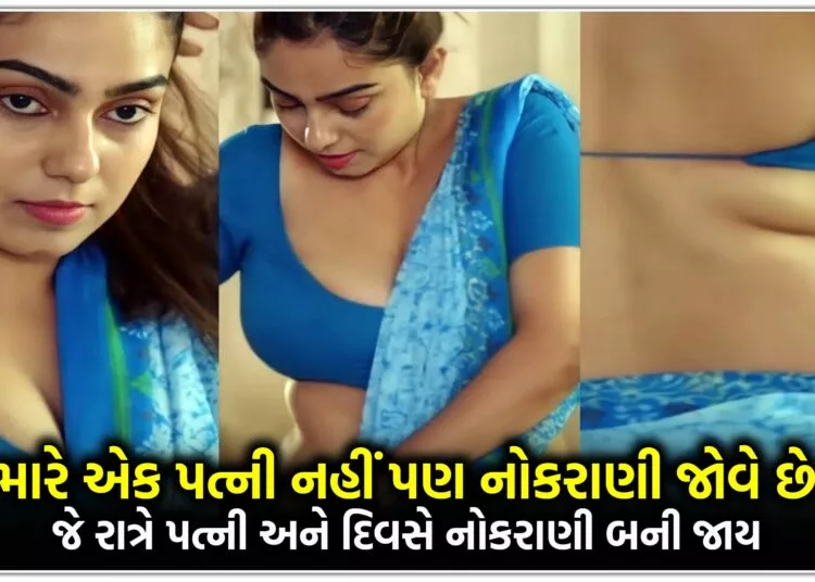 મારે એક પત્ની નહીં પણ નોકરાણી જોવે છે,જે રાત્રે પત્ની અને દિવસે નોકરાણી બની જાય..