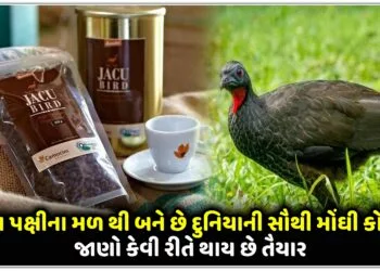 આ પક્ષીના મળ થી બને છે દુનિયાની સૌથી મોંઘી કોફી,જાણો કેવી રીતે થાય છે તૈયાર..