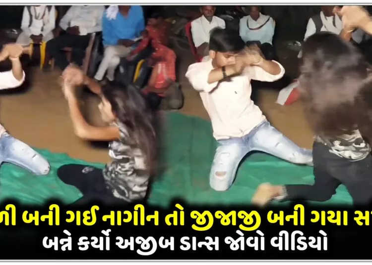 સાળી બની ગઈ નાગીન તો જીજાજી બની ગયા સપેરો,બન્ને કર્યો અજીબ ડાન્સ જોવો વીડિયો..