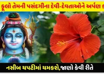 આ ફૂલો તેમની પસંદગીના દેવી-દેવતાઓને અર્પણ કરો,નસીબ ચપટીમાં ચમકશે,જાણો કેવી રીતે….