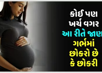 કોઈ પણ ખર્ચ વગર આ રીતે જાણો ગર્ભમાં છોકરો છે કે છોકરી..