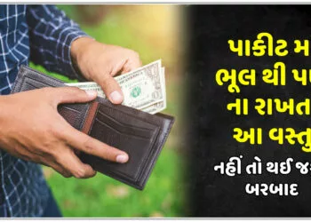 પાકીટ માં ભૂલ થી પણના રાખતા આ વસ્તુ,નહીં તો થઈ જશો બરબાદ..