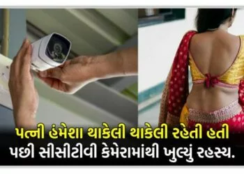 પત્ની હંમેશા થાકેલી થાકેલી રહેતી હતી,પછી સીસીટીવી કેમેરામાંથી ખુલ્યું રહસ્ય….